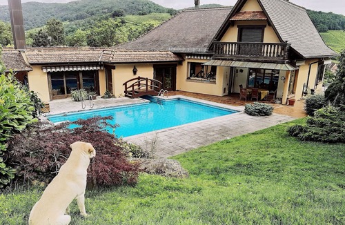 Andlau House | Room with a view