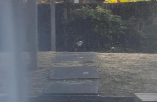 Forest Hill House | Room with A View