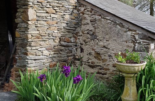 Soulaines-sur-Aubance House | Room with suite