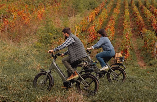 Change Bed & Breakfast | Room with vineyard view - Les Petits Noizons