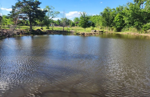 Sulphur Springs Bed & Breakfast | Rooms and Wedding venue