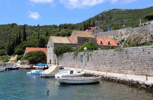 Zaton House | Rooms by the sea Zaton Mali (Dubrovnik) - 8997