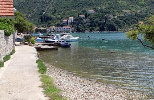 Zaton House | Rooms by the sea Zaton Mali (Dubrovnik) - 8997
