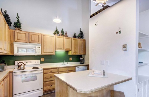 Peak 9 Condo | Roomy Rockies Retreat Nestled in Picturesque Splendor! Walk to Town/Slopes