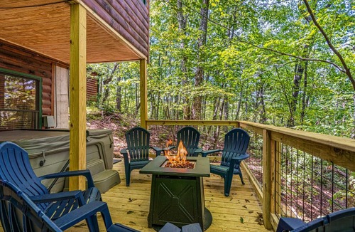 Blue Ridge House | Roosters Roost