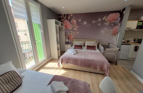 Amelie-les-Bains-Palalda Apartment | Rosa Studio Amélie Centre