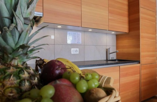 Noveli Apartment | Rosablanche E003A by Interhome