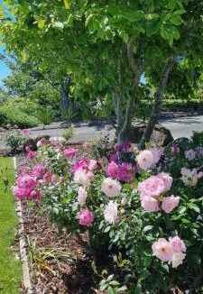 Bell Block Apartment | Rosandra Retreat 1