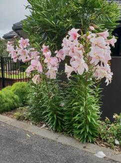 Bell Block Apartment | Rosandra Retreat 1