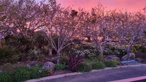 Bell Block Apartment | Rosandra Retreat 1