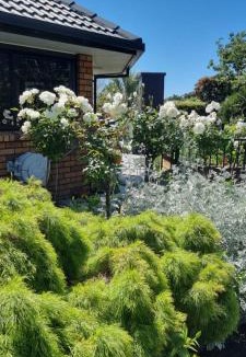 Bell Block Apartment | Rosandra Retreat