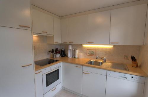 Chateau-d'Oex Apartment | Rosat 13
