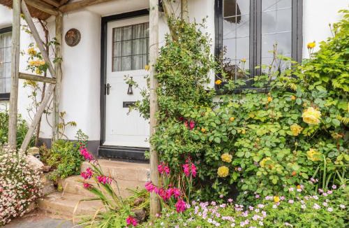 Dawlish House | Rose Cottage in Holcombe