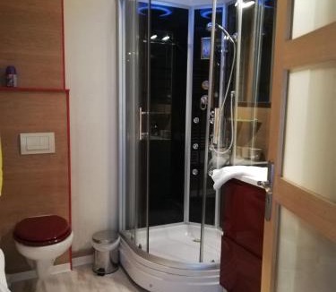 Plombiees-Les-Dijon Apartment | Rose dor