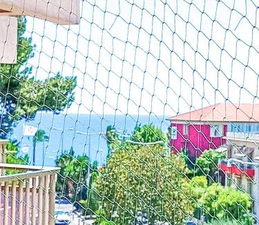 Cros-de-Cagnes Apartment | Rose Garden