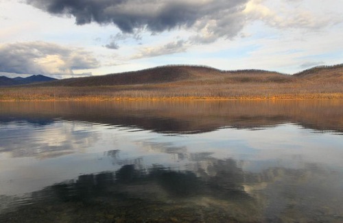 Big Sky Hotel | Rose Hip Delight