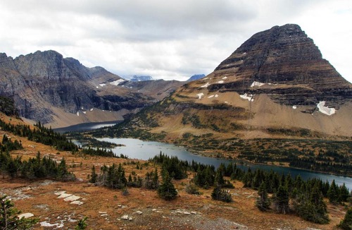 Big Sky Hotel | Rose Hip Delight