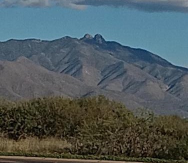 Willcox Hotel | Rose's Motel