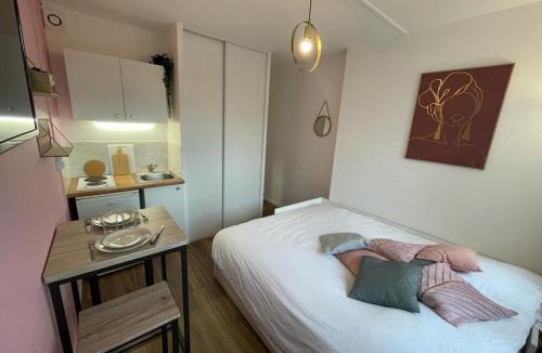 Le Chemin Vert Apartment | Rose, Studio proche centre ville