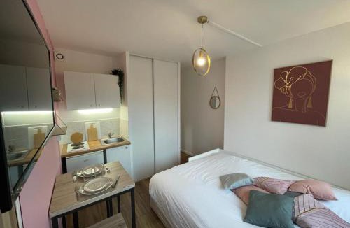Le Chemin Vert Apartment | Rose, Studio proche centre ville