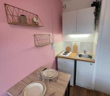 Le Chemin Vert Apartment | Rose, Studio proche centre ville