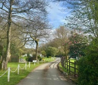 Liskeard Ski Chalet | Rosecraddoc Lodge 23