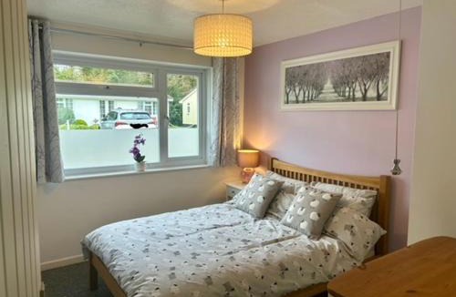 Liskeard Ski Chalet | Rosecraddoc Lodge 23