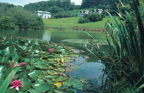 Liskeard Cottage | Rosecraddoc Manor - Lakeview