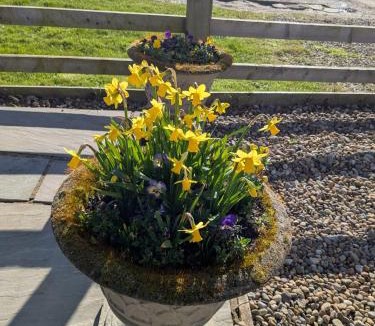 Scawton Bed & Breakfast | Rosegarth Bed and Breakfast