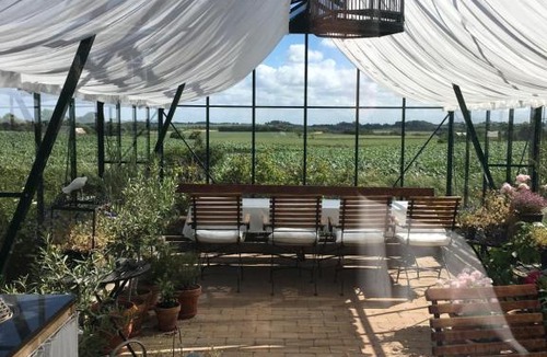 Nykobing Mors Bed & Breakfast | Rosengave