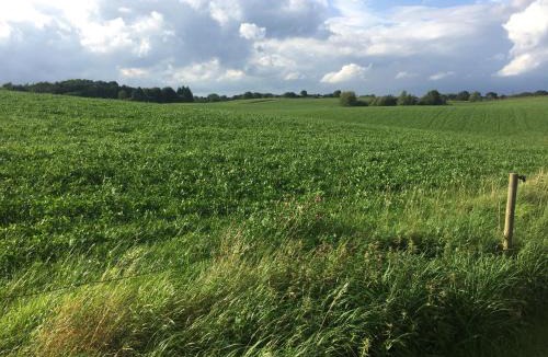 Søndersø Bed & Breakfast | Rosenlund Bed & Breakfast