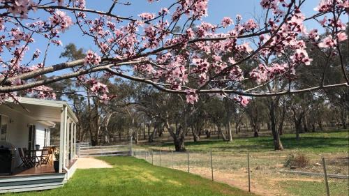 Grattai Bed & Breakfast | Rosewood Cottage