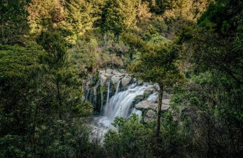 Matauri Bay Cabin | Rosewood Kauri Cliffs