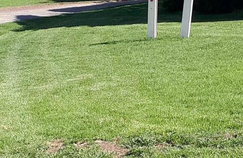 Warrnambool Apartment | Roshnier Apartment