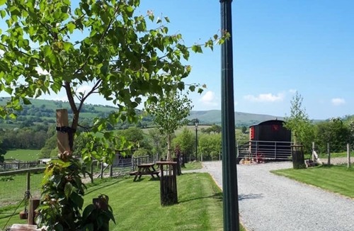 Rhayader Cabin | Rosie Traditional Gypsy Wagon