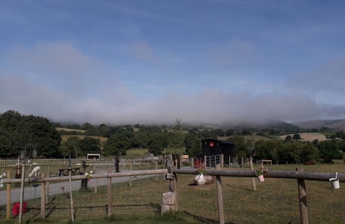 Rhayader Cabin | Rosie Traditional Gypsy Wagon