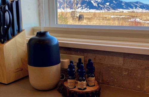 Belgrade Cabin | Ross Creek Cabin #3