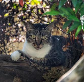 Sewon Villa | Rosseno Villa