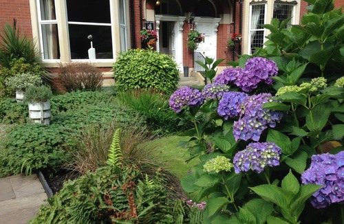 Bury House | Rostrevor Hotel - Guest House