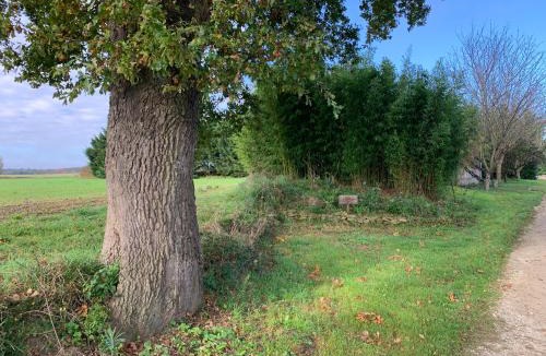 Mirepoix Other | Roulotte et Nature