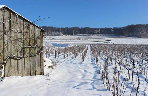 Romery Bed & Breakfast | Roulotte la Dominique