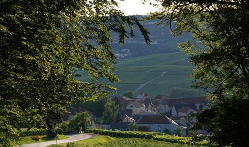 Romery Bed & Breakfast | Roulotte la Dominique