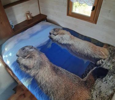 Poinson-les-Fayl Ski Chalet | Roulotte La Marmotte