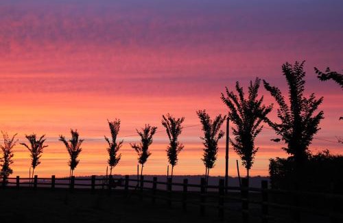 Mortagne-au-Perche Other | Roulotte Poulette