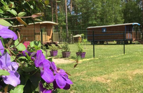 Rougeou Bed & Breakfast | Roulottes du Chalet des Pins