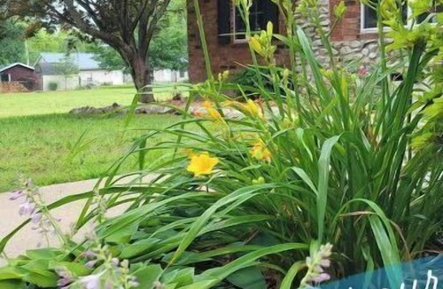 Carthage House | Route 66 Home