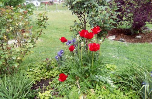 Pruniers-en-Sologne House | route departementale 765