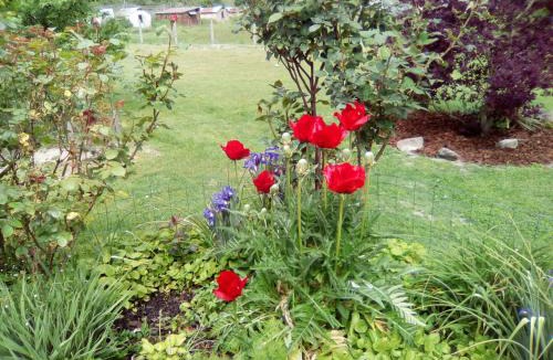 Pruniers-en-Sologne House | route departementale 765