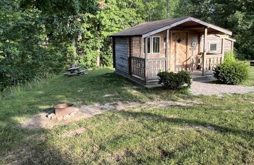 Helmsburg Cabin | "Rowan" Camping Cabin #4 | Pet Friendly