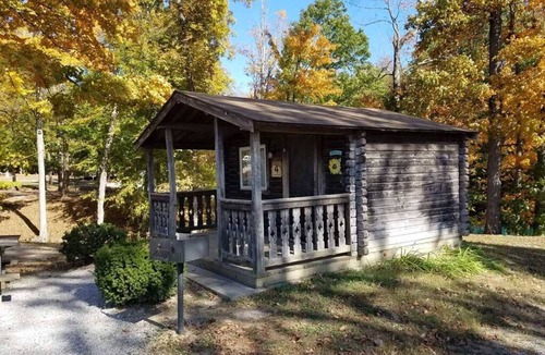 Helmsburg Cabin | "Rowan" Camping Cabin #4 | Pet Friendly